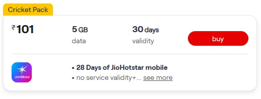 Vodafone Idea’s Rs 101 data pack is quite popular among budget users.